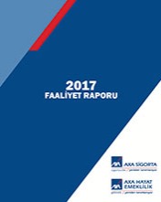 2017 Yılı Faaliyet Raporu