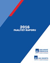 2016 Yılı Faaliyet Raporu