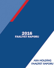 2016 Yılı Faaliyet Raporu